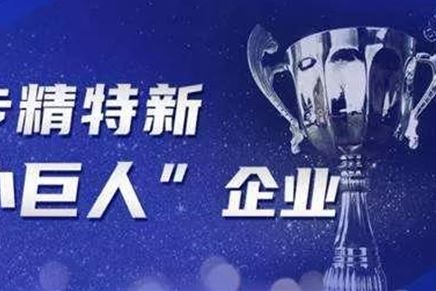 公司獲江蘇省“專(zhuān)精特新小巨人”榮譽(yù)稱(chēng)號(hào)