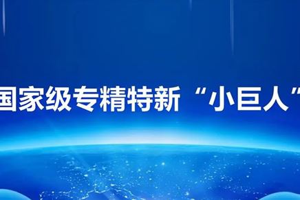 我司榮獲“專精特新小巨人”榮譽(yù)稱號(hào)，彰顯創(chuàng)新實(shí)力與卓越品質(zhì)